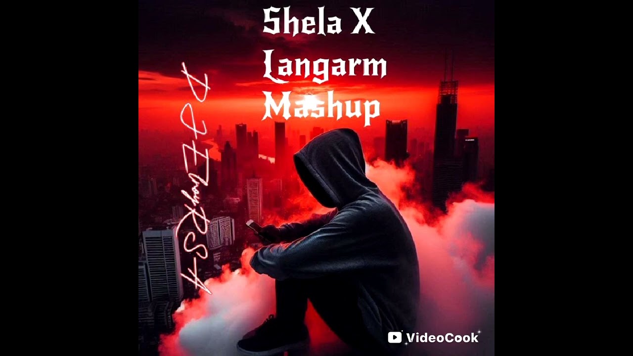Shela X Langarm Mashup Edit DJElroyRSA (2026)