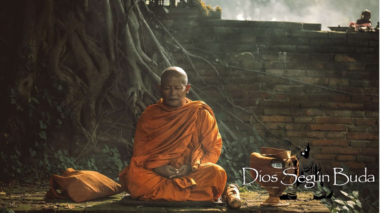 LA PARADOJA DEL ZEN: DESENTRA&Ntilde;ANDO EL ENIGMA DE LA SABIDUR&Iacute;A ZEN