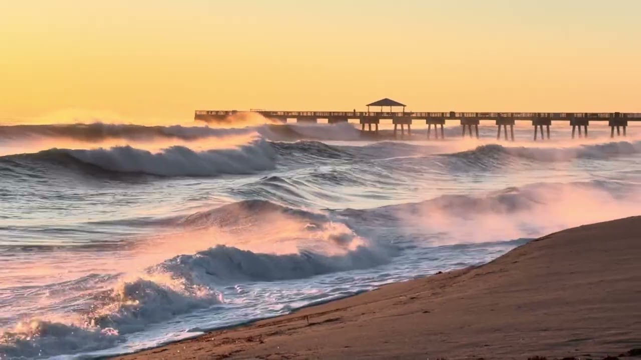 Florida coldest morning February 2nd 2026