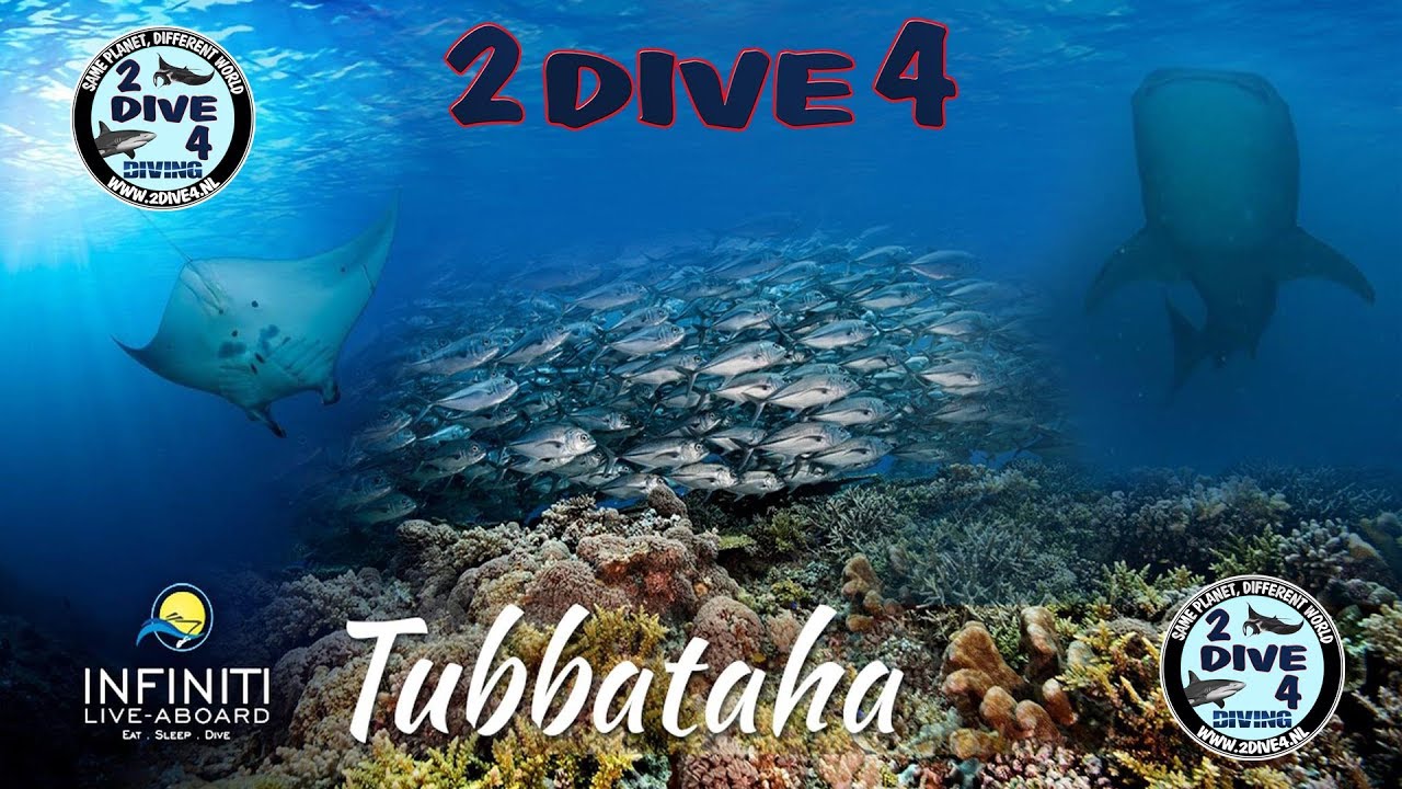 Brotherdive 2019 - Diving Tubbataha reefs - Philippines (Short version)
