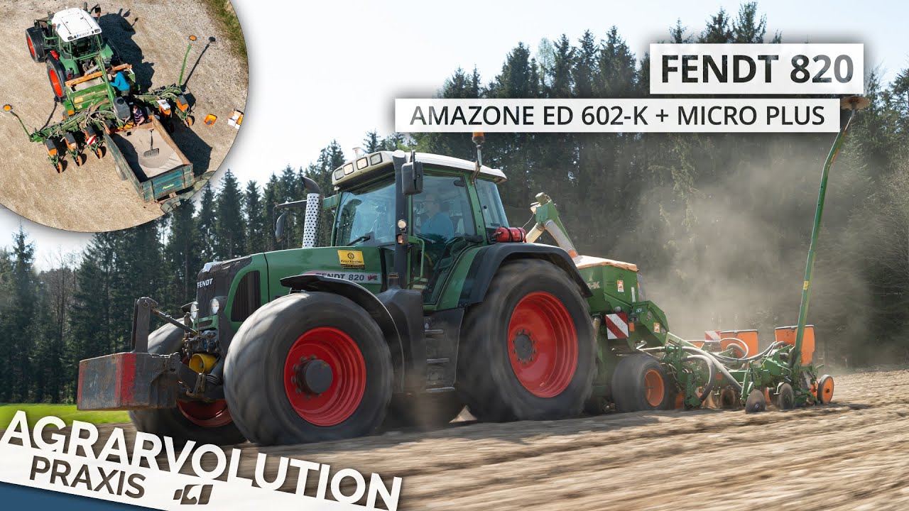 Fendt 820 Vario + Amazone ED 602-K + Micro Plus • Sowing corn | Agrarvolution Praxis