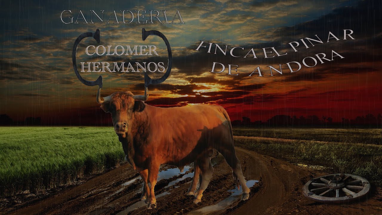 GANADERIA COLOMER HERMANOS