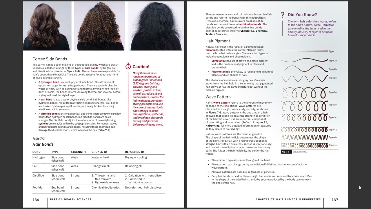 Milady Cosmetology Ch 7 Pages 130-143 Hair & Scalp Properties