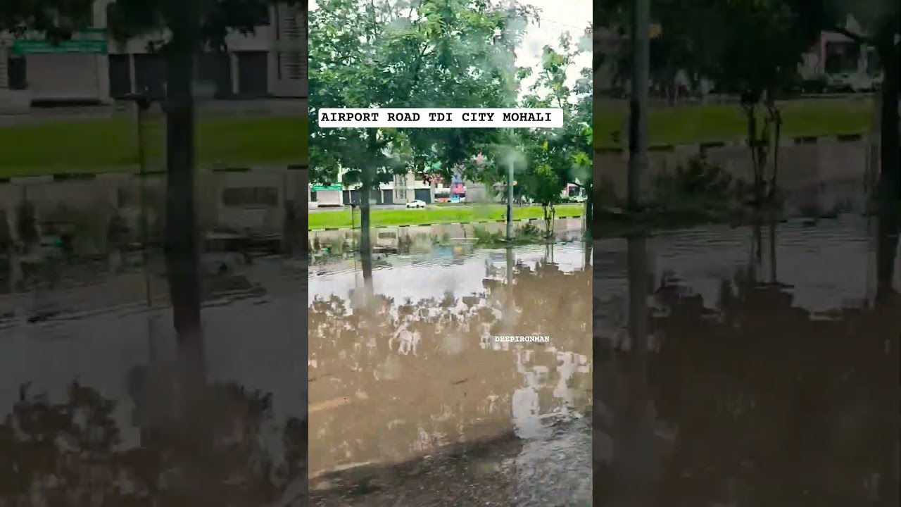 AIRPORT ROAD TDI CITY MOHALI #flood #mohali #airport #youtubeshorts #heavyrain #viralvideo