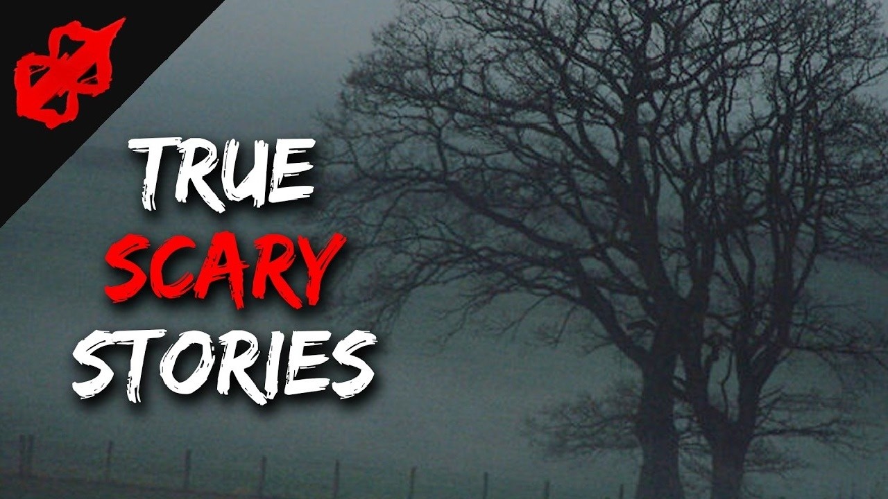 Creepy Stories for a Cold and Unsettling Night - Horror Stories 🌙👁️😨