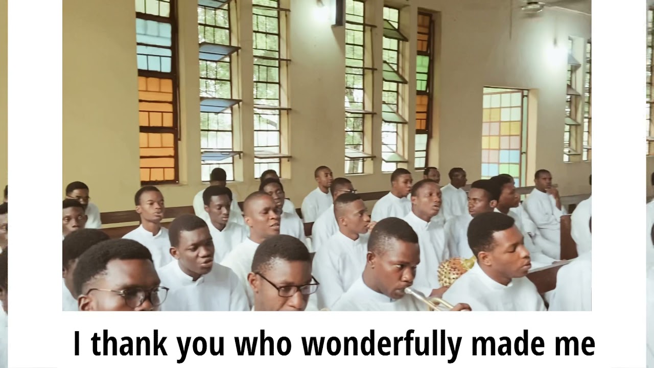 I THANK YOU WHO WONDERFULLY MADE ME