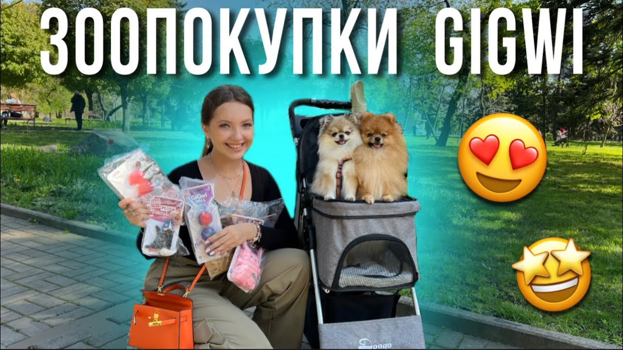 Распаковка зоотоваров фирмы GIGwi 🐶 / Прогулка с собаками🐾 #зоотовары #моисобаки