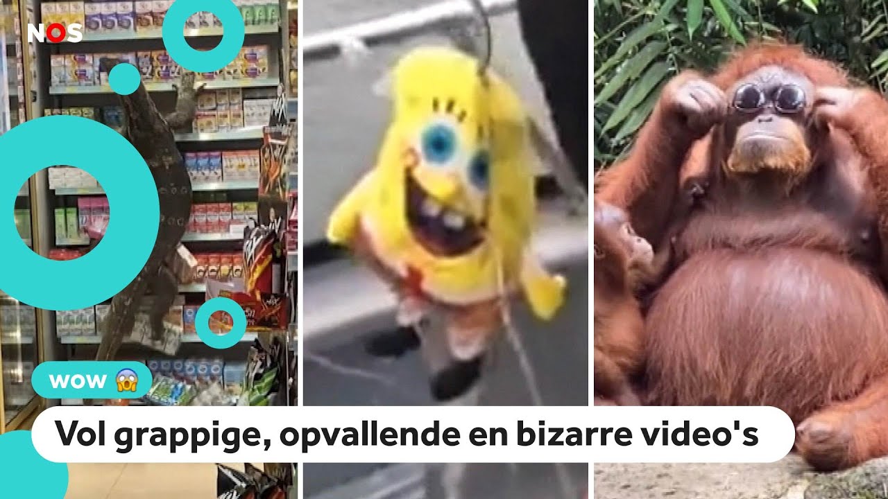 De 10 leukste 'Check Dit Dan' van 2021