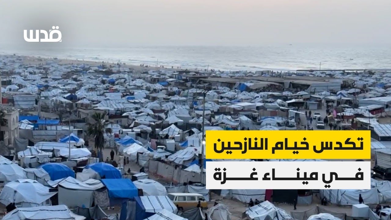 مشاهد لاستمرار تكدس خيام النازحين في ميناء مدينة غزة.