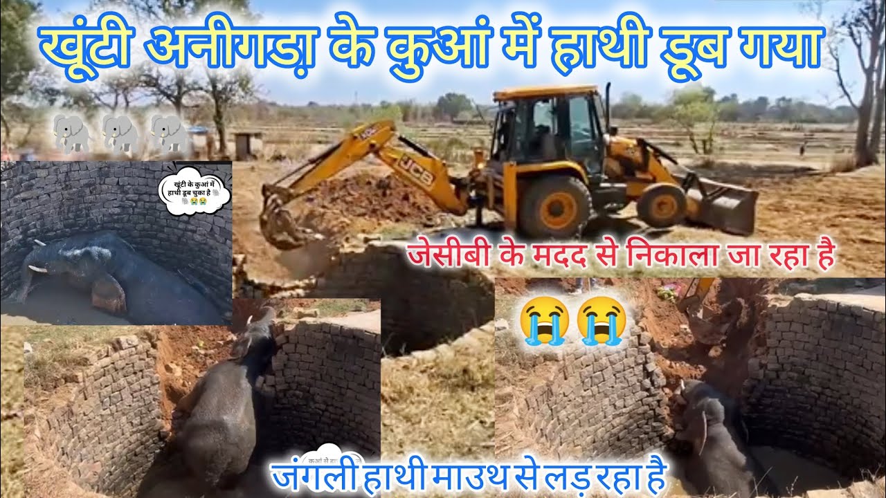 खुंटीं अनीगडा के पास एक कुआं में हाथी डूब गया 🐘😭😭खूंटी में भी जंगली हाथी आने लगा 😭khunti mein hathi 
