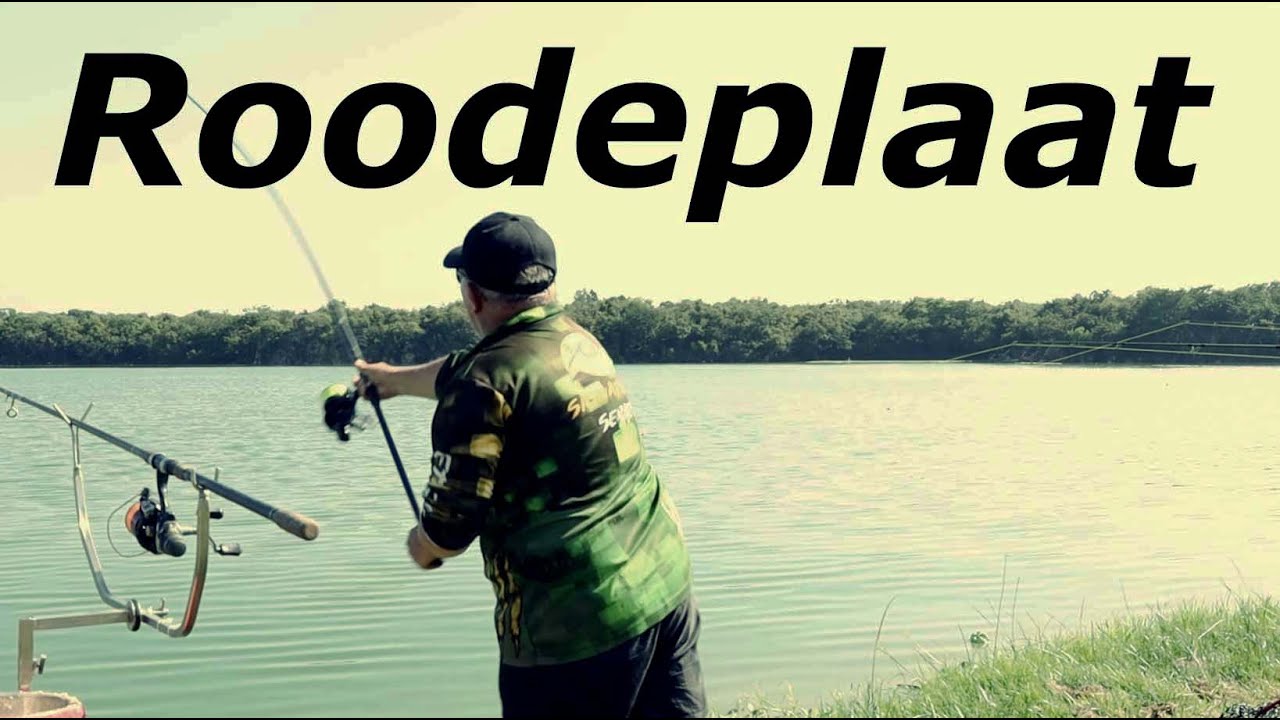 Returning to Roodeplaat.