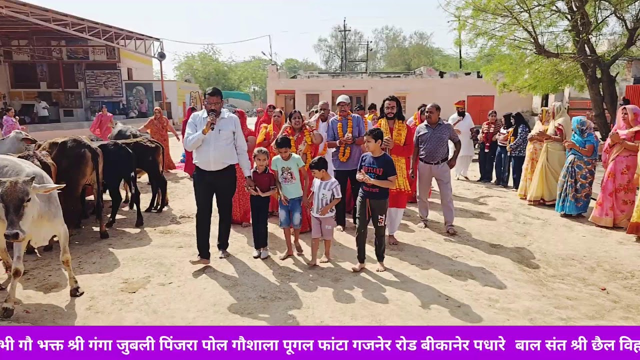 श्री गंगा जुबली पिंजरा प्रोल 14/03/26 गौशाला में आज का आनंद