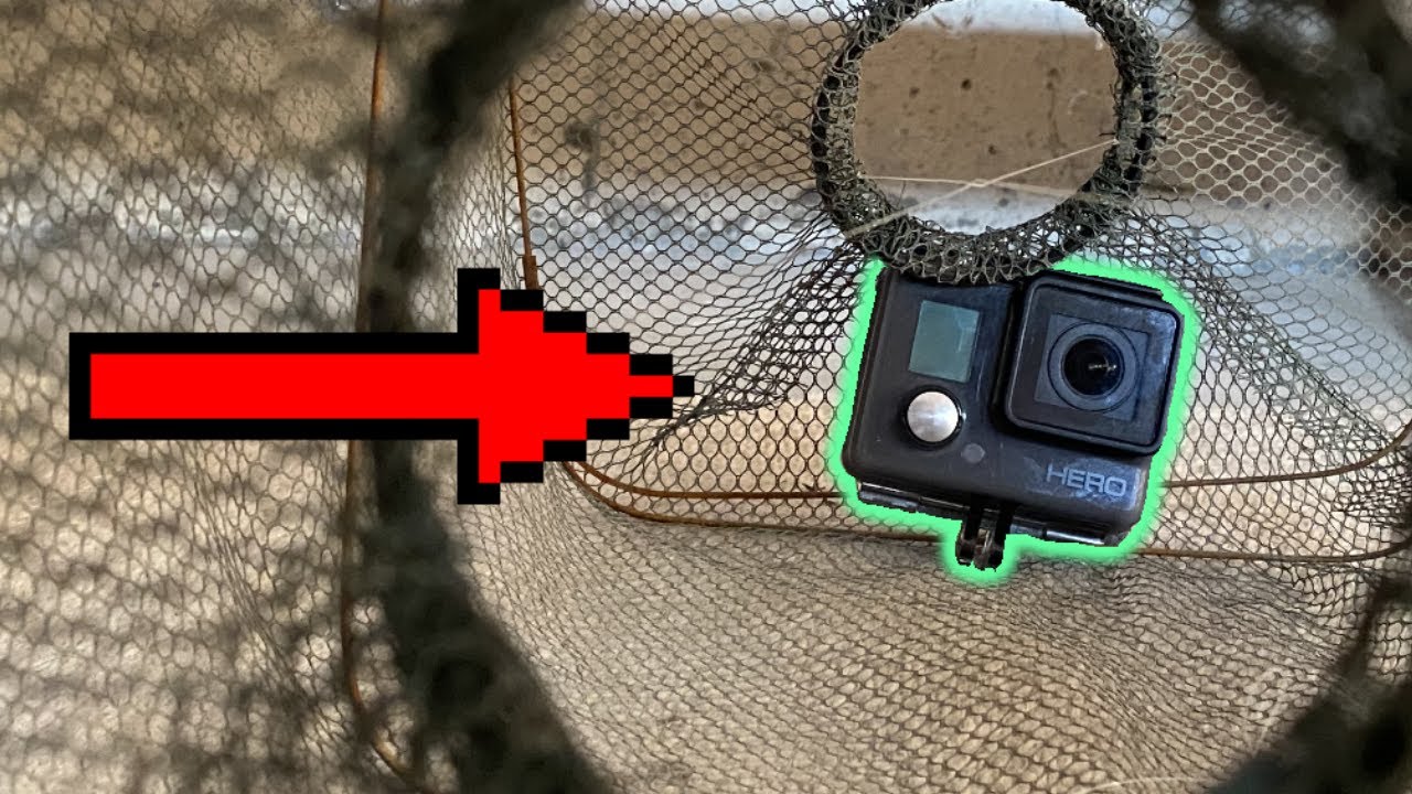 I put a gopro in a minnow trap