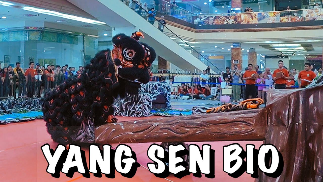 YANG SEN BIO | BARONGSAI TRADISIONAL | KEJURNAS BARONGSAI 2025