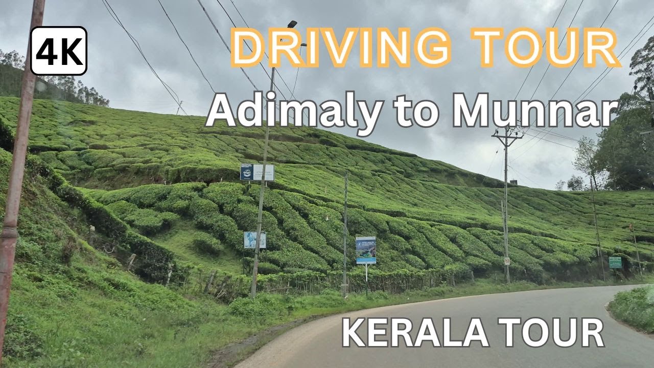 Scenic Road Trip from Adimali to Munnar | Beautiful Hill Station Drive through Western Ghats Kerala