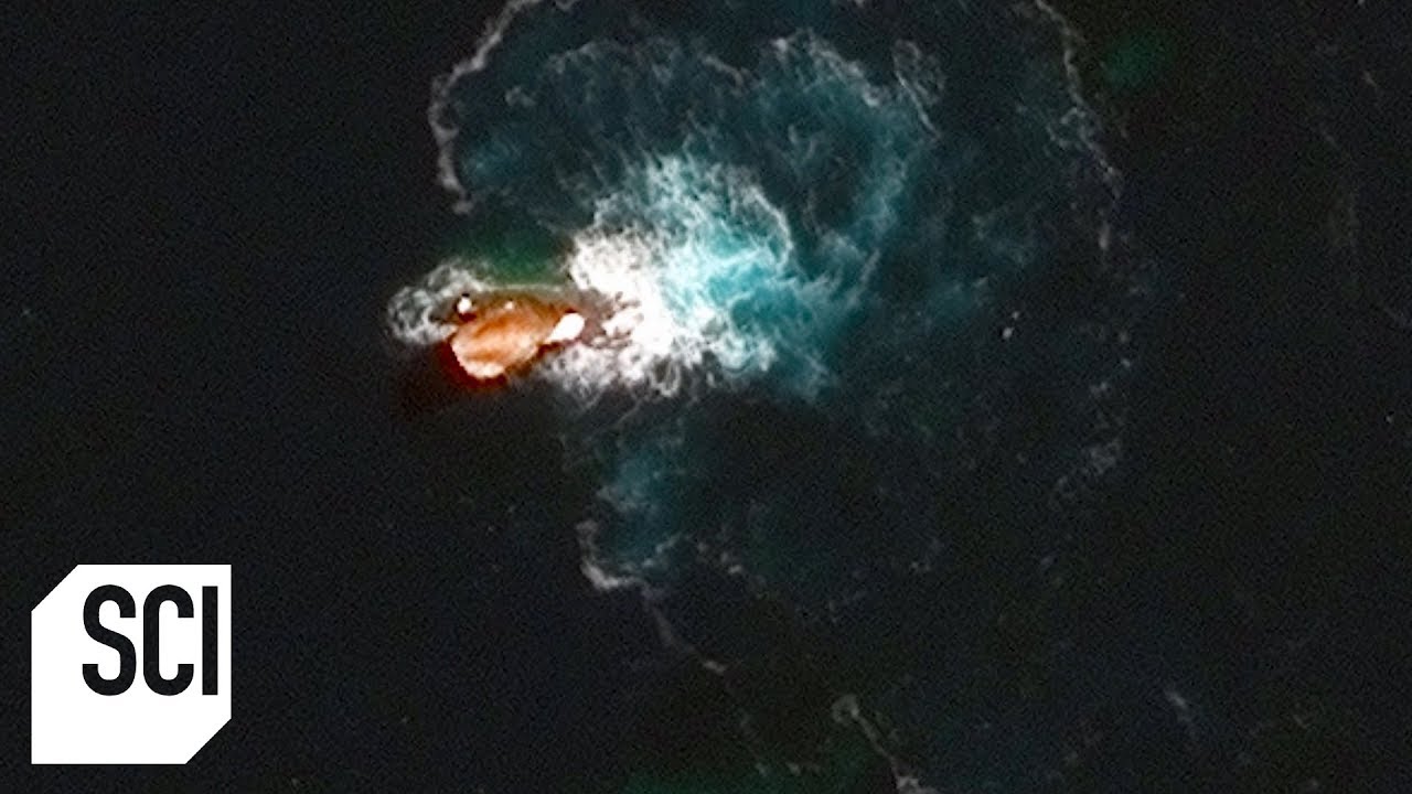 What Is This Strange Object in the Ocean? | What on Earth?
