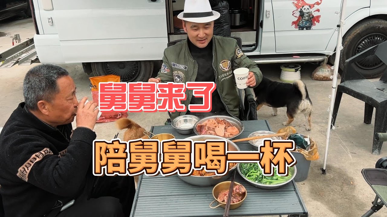 鐵牛旅行記831集/馬犬的智商你不敢想，竟然會開房車們去找我，以花命名的城市太美#狗是人类最忠诚的朋友