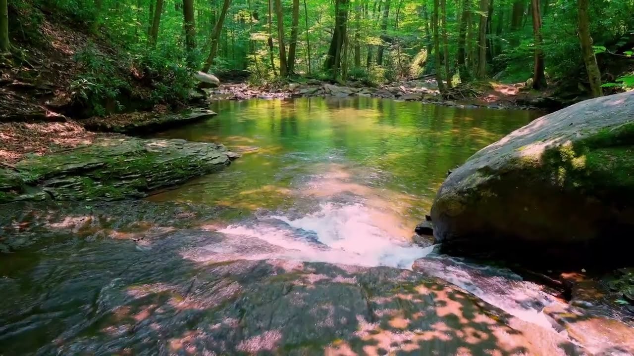 Cozy Forest Stream (30 Minutes) | Deep Relaxation