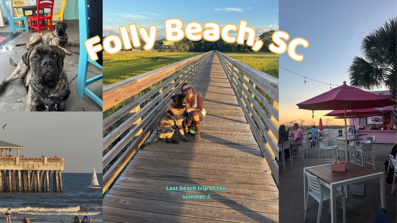 FOLLY BEACH, SC | Family Trip To The Cutest Dog Friendly Beach Town!