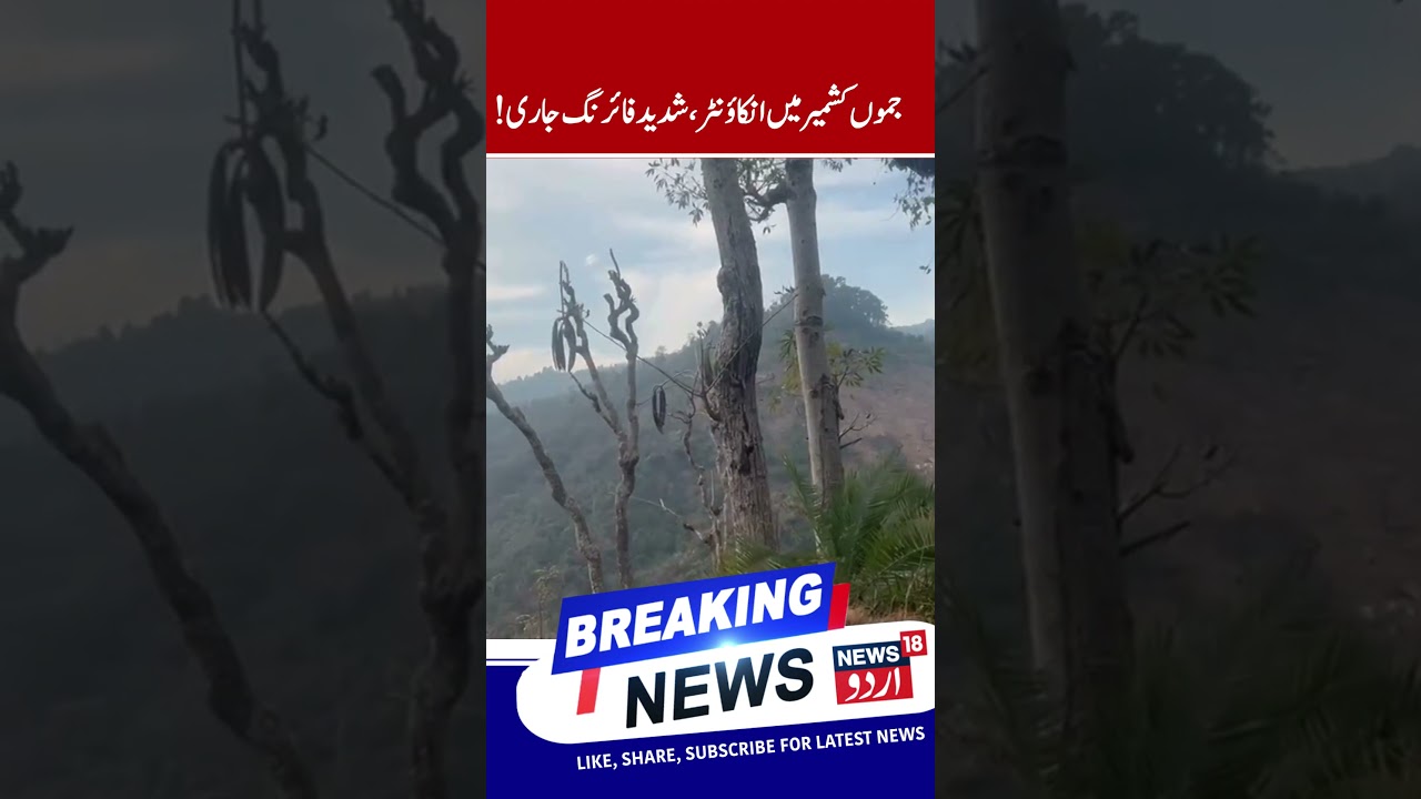 J&K Encounter Starts in Kathua, Heavy Firing Goin on? | Jaish Commander Mavi Likely Trapped | News18