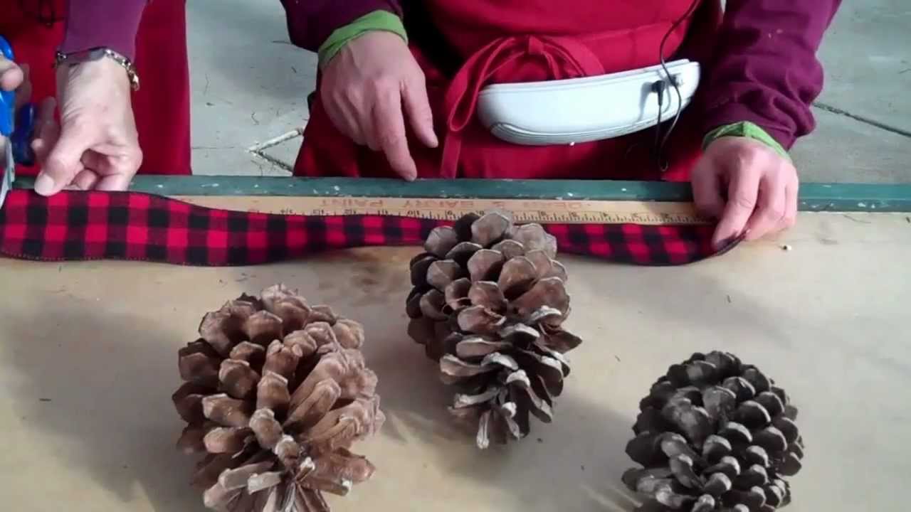 Wilson's Garden Center Pine Cone Door Swag