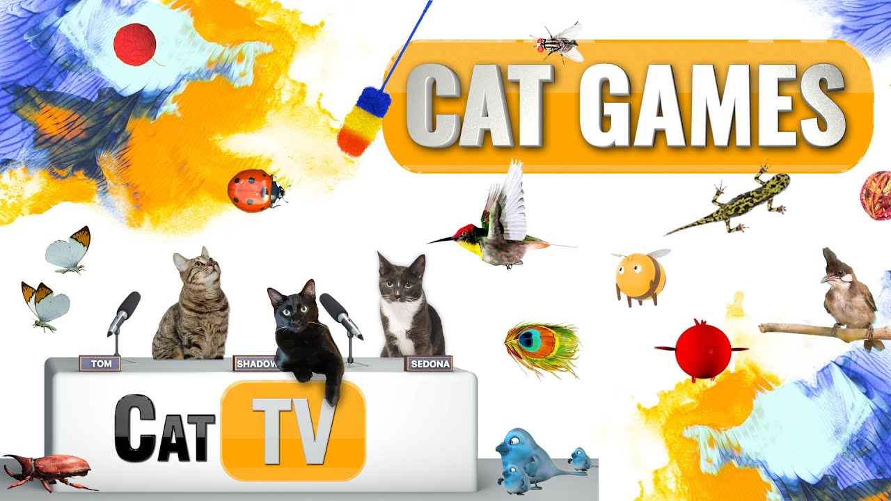 КОТ-игры | Лучшая подборка Cat TV, том 23 | 2 ЧАСА 🐝🐞🦋🦎🦜🐜🐭🧵