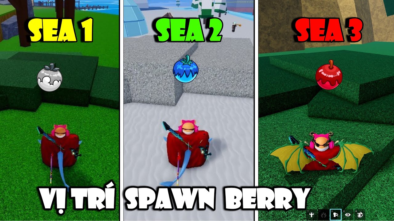 Vị Trí Spawn BERRY Ở Sea 1, Sea 2, Sea 3 Để Lấy Skin Rồng Trong Blox Fruit UPDATE | Roblox