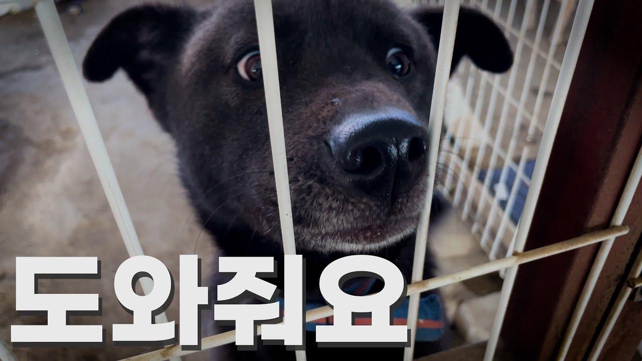 잠깐만 이쪽으로 와볼래?