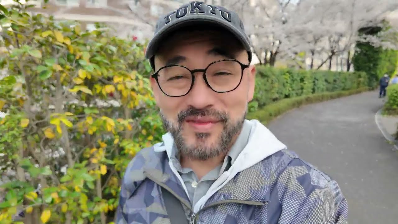 Spring Walk in Roppongi, Tokyo | Cherry Blossoms