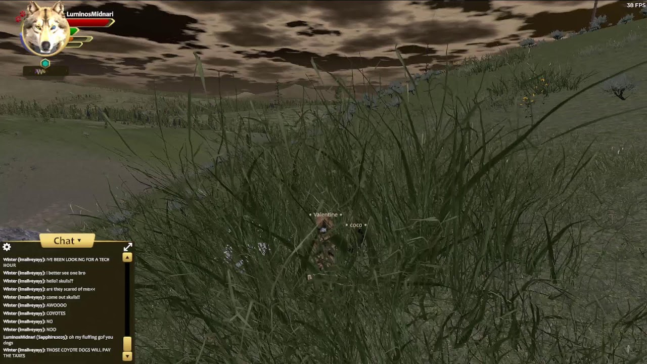 Wolf quest 3! New tower fall map in multi! Goal to 1k: 63% Drawing a new profile pic(New learned)