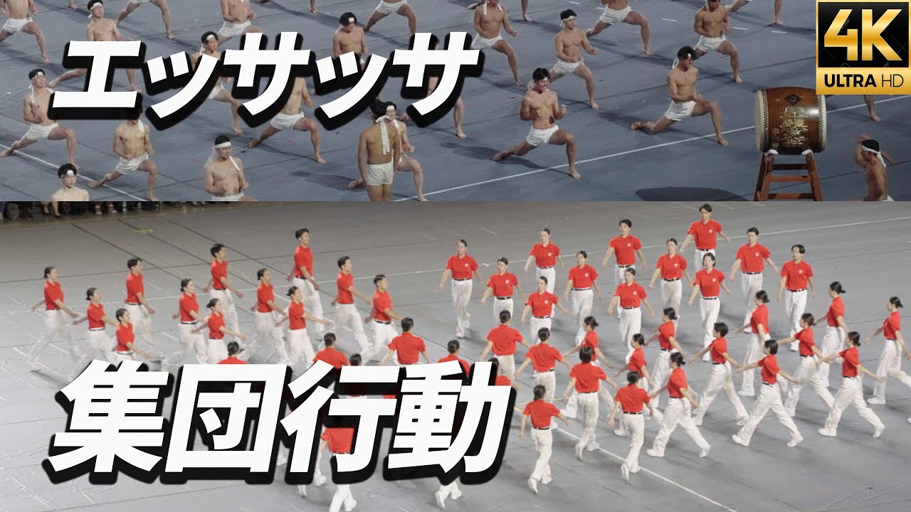2023【集団行動】【エッサッサ】 日体大体育研究発表実演会