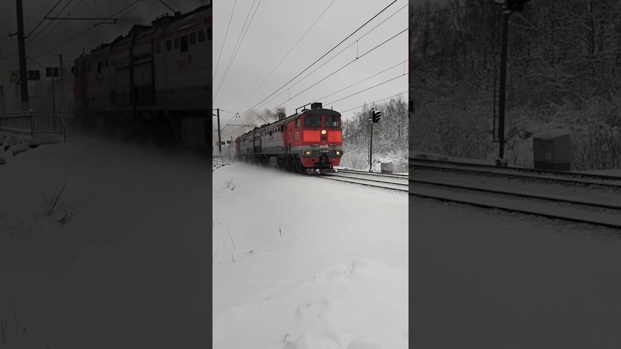 Экслюзив! 2ТЭ10М-2486 с хозяйственным поездом проследует о.п 252 км. Дата:31.12.2026 г.