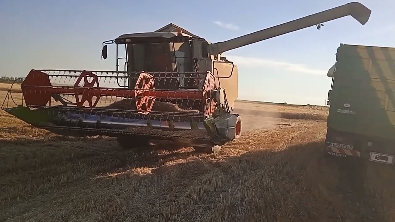 claas lexion 520 αλώνισμα σκληρού σιταριού Ν Βύσσα Ορεστιάδας Έβρου 16.6.2024