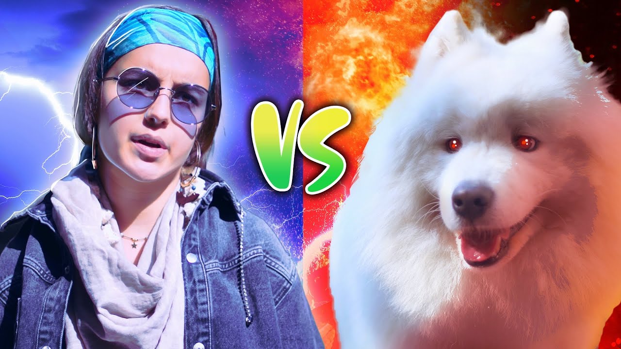 PIES VS BEHAWIORYSTA