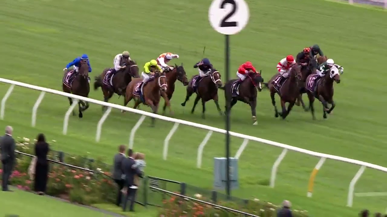 Black Caviar Lightning Stakes 2025 - SKYBIRD (3YO+WFA G1) Group 1 Flemington 15 February