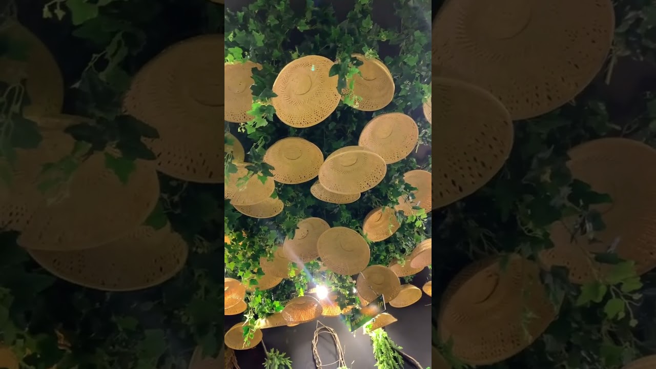 Cafe ceiling design modern and green ceiling #ytshorts