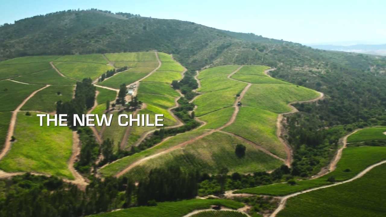 The New Chile (Vine Connections)