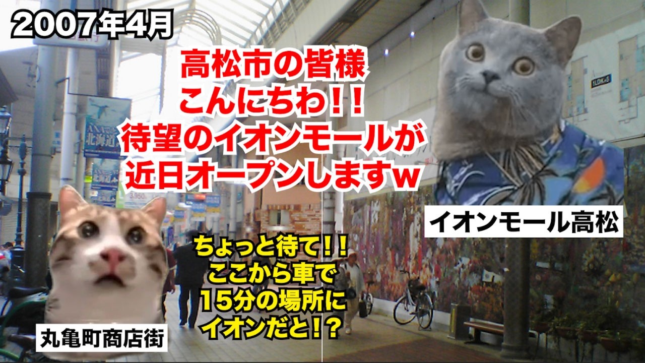 【高松丸亀町商店街】地方の商店街がイオンモール高松に逆転勝利した理由 #猫マニ #猫ミーム