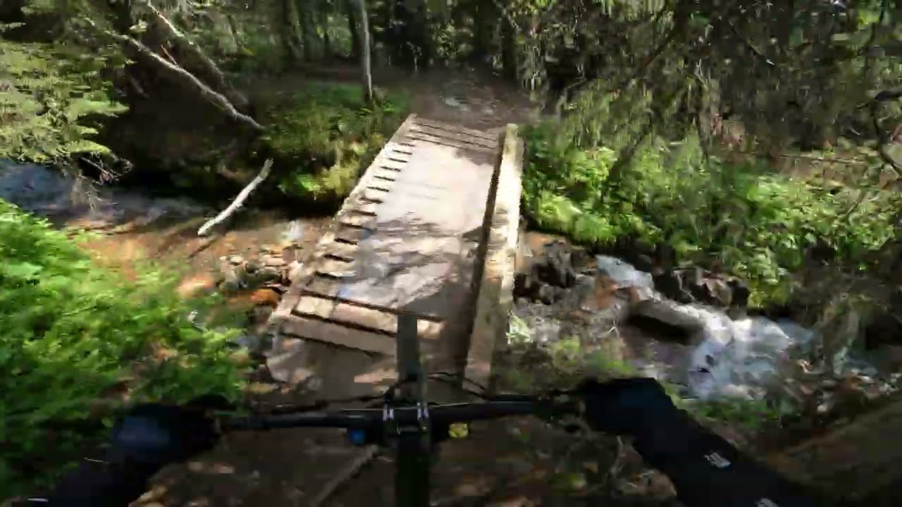 Åre Bike Park - Bräckebäcksleden