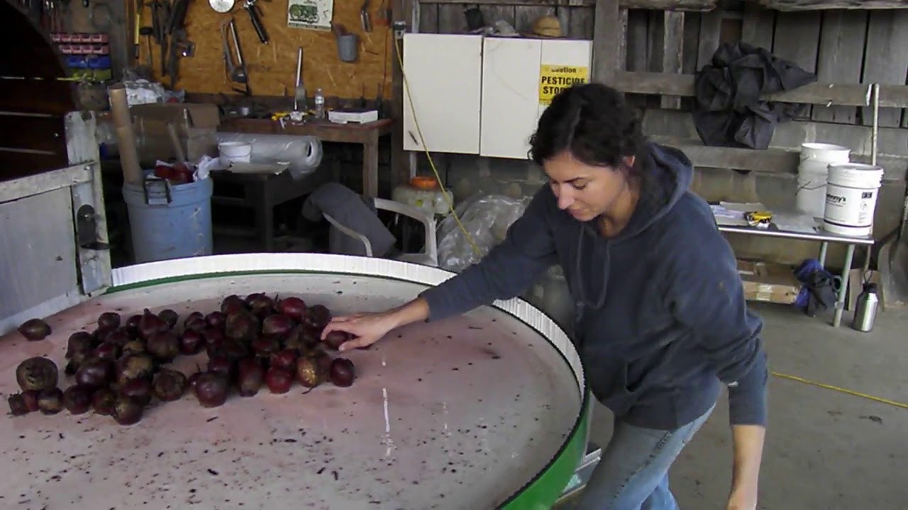 Root Vegetable Wash Line with AZS Rotating Table
