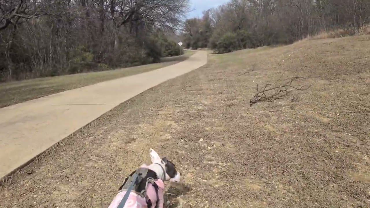 Park #6 