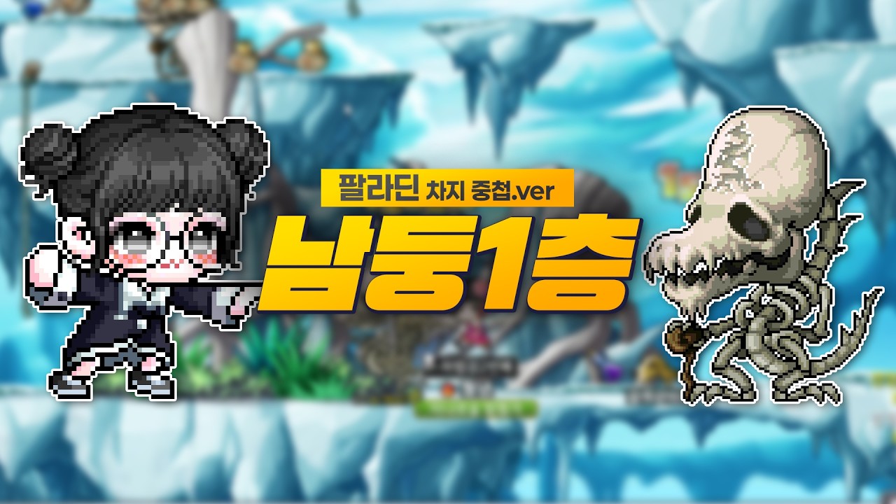 팔라딘 남둥 교보재(차지 중첩 이후)