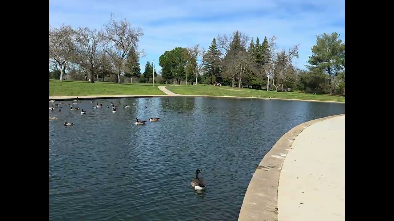 Hermosa naturaleza 