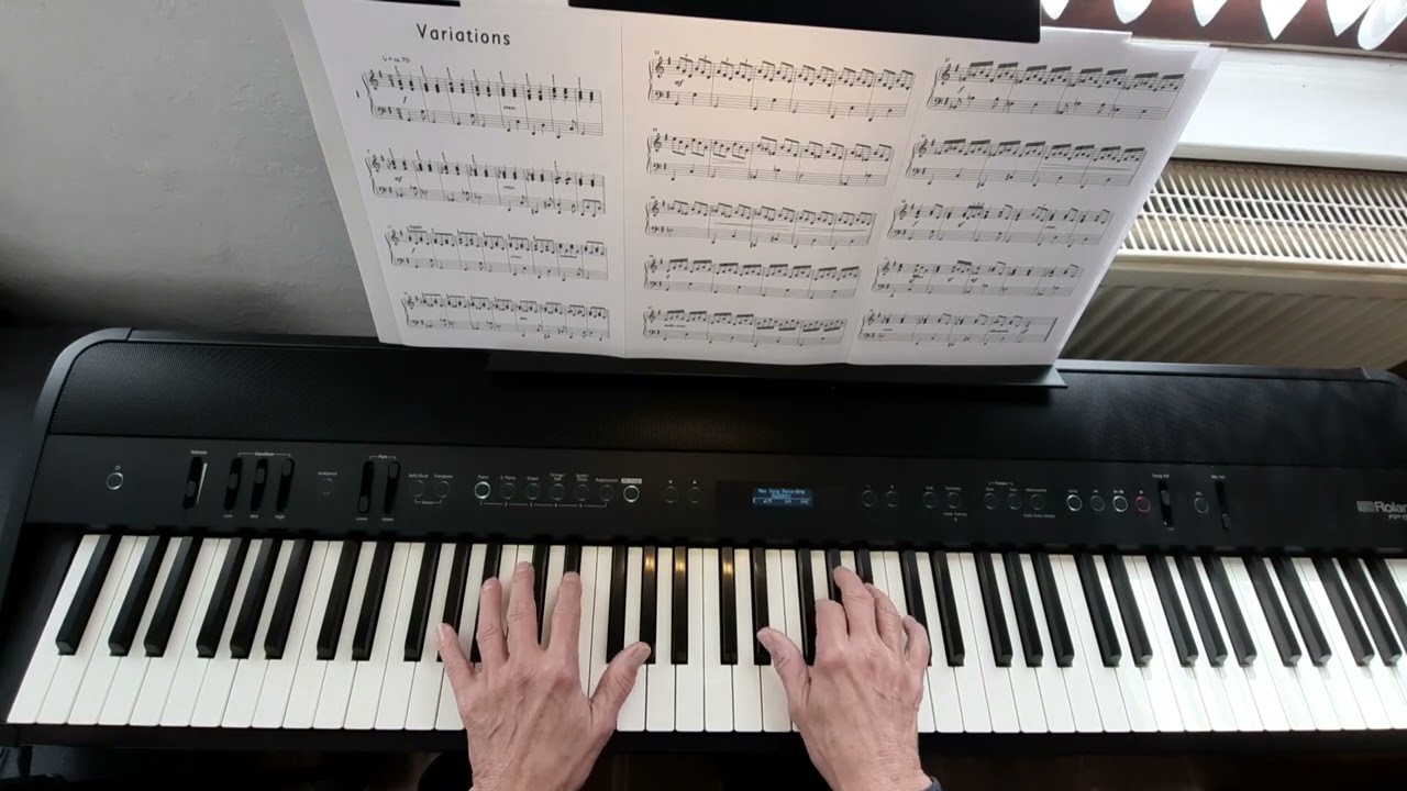 Variations - Daniel Hellbach auf Roland FP-90X