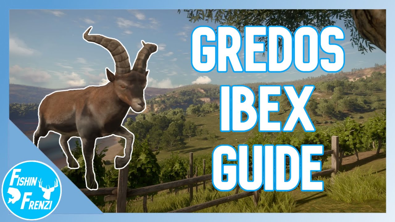 Gredos Ibex Guide | theHunter - Call of the Wild