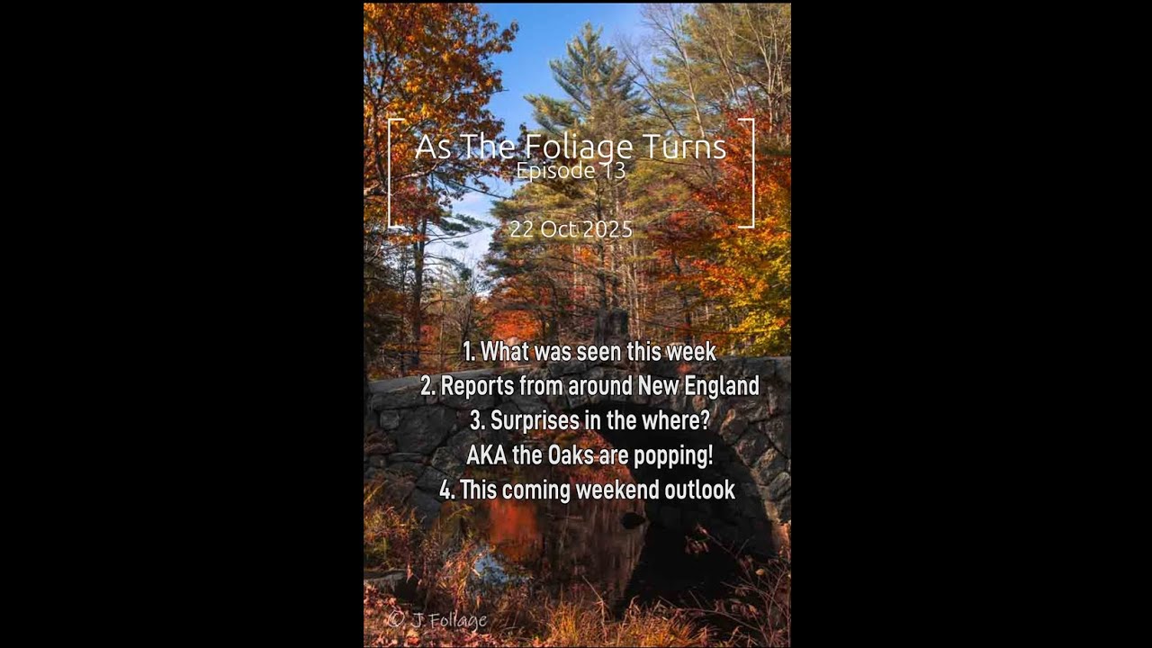 As the Foliage turns 22 Oct 2025