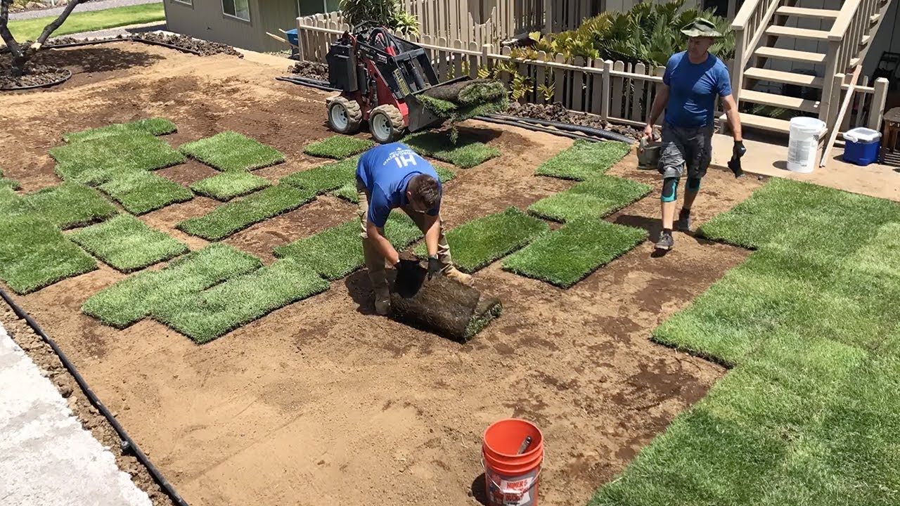 Backyard Makeover timelapse. 4 weeks in 4 minutes