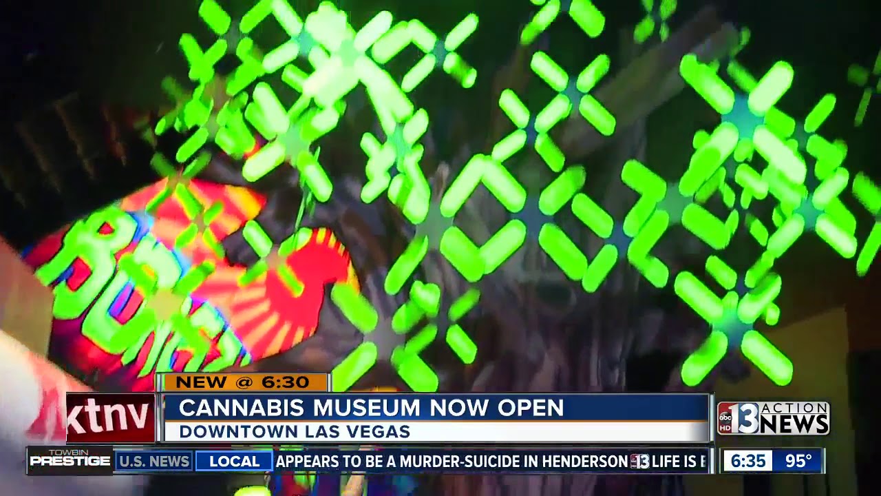 Giant bong, huggable buds: Marijuana museum opens in Vegas