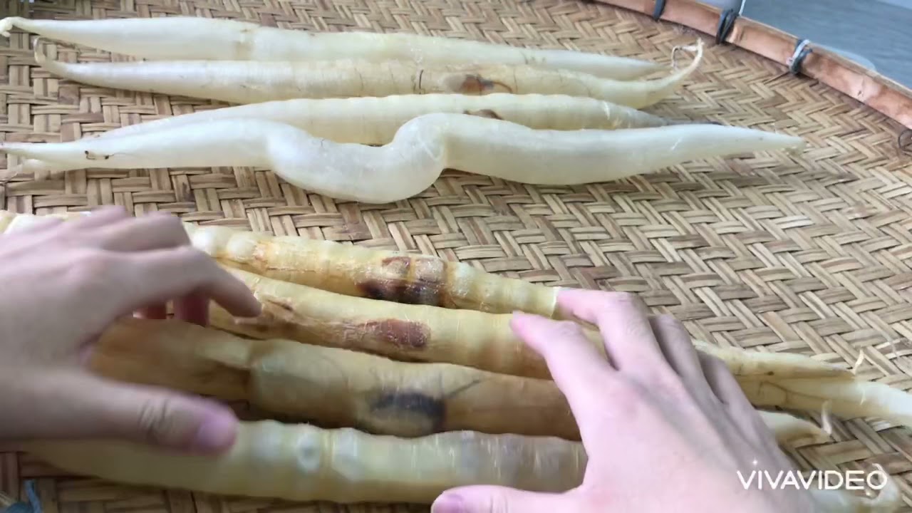 門鱔膠功效顯著，3分鐘教你分真假！！ #food #海味 #2026