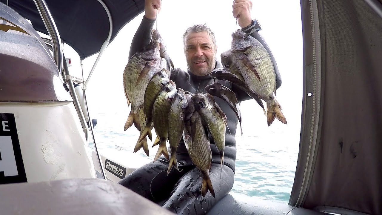 Ψαροντούφεκο - Spearfishing -ΣΑΡΓΟΙ.....